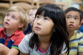 Comprehensive Annual Financial Report