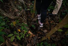 We did not find results for: The Plight Of Dover Forest And One Mathematics Teacher S Fight To Save It