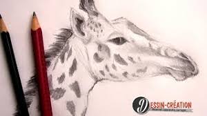 We did not find results for: Comment Dessiner Une Girafe Facilement Youtube