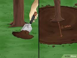 Spread 1 to 2 inches of good quality garden soil over the area, along with 2 inches of compost. 3 Ways To Create Tree Flower Beds Wikihow