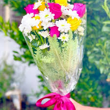 We did not find results for: Gift Delivery Melbourne Flowers Delivery Melbourne Birthday Flowers Online Florist Melbourne Fresh Flowers Fresh Flowers Online