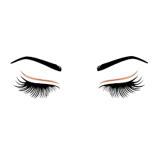 Illustration of eyelashes on transparent background png. Transparent Png Eyelashes Novocom Top