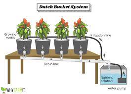 Check spelling or type a new query. What Is A Dutch Bucket And Setting Up Your Own System Whyfarmit Com