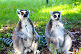 Места «must see» у всех разные! Chto Posmotret Na Zanzibare 7 Lyubopytnyh Ekskursij