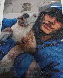 Paint With Diamonds (@paintwithdiamonds) • Instagram photos and videos