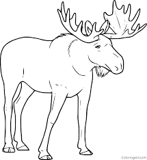Moose coloring page from moose category. Coloring Pages Realistic Moose Coloring Pages Blog Student