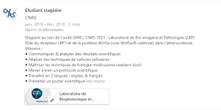 Resume Linkedin Exemple Ingenieur Informatique