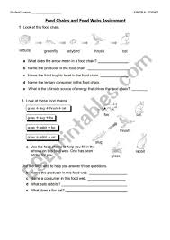 Compare and contrast food webs and food chains. Food Chains And Webs Worksheet Promotiontablecovers