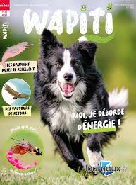 couverture de : Wapiti
