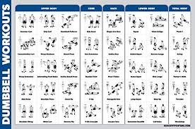 Palace Learning Dumbbell Workout Exercise Poster Free