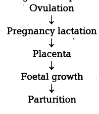 important questions for cbse class 12 biology fertilisation