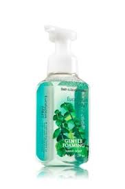 The Best Scent Ever Eucalyptus Mint Gentle Foaming Hand Soap Anti Bacterial Bath Body Works Bath And Body Works Body Works Bath And Body