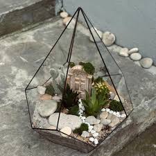 Мастер-класс флорариум (кактусы)