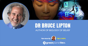 Bruce Lipton Talks About Cellular Fields, The Soul & Life After Life