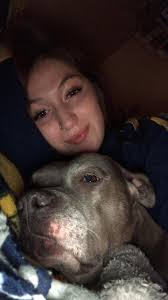 Missing female spade cat and Siamese-looking sister south of Lansing