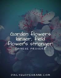 Where known i have given credit. 170 Inspirational Quotes About Gardens And Life Lessons