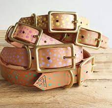 We did not find results for: 15 Amazing Leather Dog Collars From Australian Creatives Dogs Of Australia