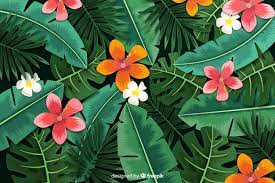 See more ideas about flower frame, flower backgrounds, flower background wallpaper. Free Vector Realistic Tropical Leaves And Flowers Background