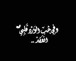 pin by rmad alsnin on خطوط wonder quotes love quotes photos wisdom quotes life