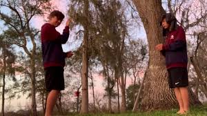 #wherethecrawdadssing, coming to theaters soon. Where The Crawdads Sing Trailer Youtube