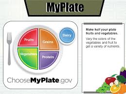 2 learning objectives create familiarity with each component of myplate (fruits, vegetables, grains, protein, dairy) demonstrate how much of. Unit 3 Lesson 4 Dietary Guidelines Myplate Make Half Your Plate Fruits And Vegetables Vary The Colors Of The Vegetables And Fruit To Get A Variety Of Ppt Download