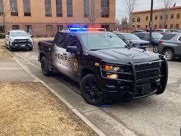 Image result for Sheriffs Tan 2018 Fleet
