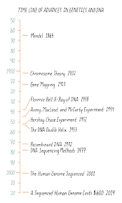 An organisms heredity is controlled by dna. The Structure Of Dna Genetics The Structure Of Dna