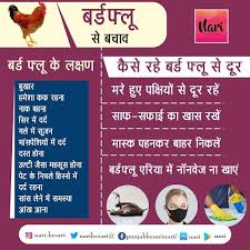 देशभर में कोरोना का प्रकोप जारी ही है कि अब एक नई. à¤¬à¤° à¤¡ à¤« à¤² à¤…à¤²à¤° à¤Ÿ à¤²à¤• à¤·à¤£ à¤¨ à¤•à¤° à¤¨à¤œà¤°à¤… à¤¦ à¤œ à¤¯ à¤°à¤– à¤– à¤¦ à¤• à¤¬à¤š à¤µ Prevention And Treatment Of Avian Influenza A Viruses In People Nari Punjab Kesari