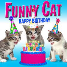 Send happy birthday wishes funny grumpy candle band video. Happy Birthday Funny Cats Singing Version Song By Funny Cats Spotify