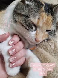 Pin On Color Street Nails
