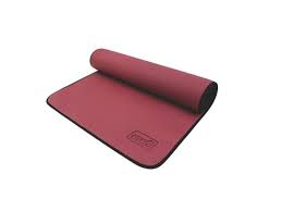 Hallo und herzlich willkommen zum. Sissel Pilates Und Yoga Mat Pilates De