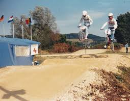 Image result for Jaune 1989 ARO