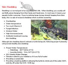 Some aquatic turtles need to be dry docked for weeks at a time in order for their illnesses to heal. Normal Skin Shedding Or Excessive How To Identify And What To Do Turtle Habitat Pet Turtle Turtle Care