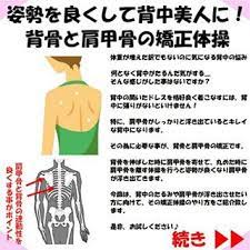 顔の歪みと目の高さが違う時に直せるかどうかはここを診る 小顔矯正 整体を東京でお探しならrevision scapula body health body