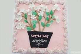Valentines day, birthday, preparation, holiday. Special Happy Valentine Cake With Name Edit