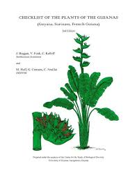 Image result for Diplacrum africanum
