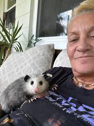 I think i have more pics with my opposum now than I do with my kids