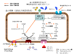 ウィル ヒョウ の 3.0.5