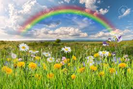 Buy and download individual images or discover our business plans. Paysage D Ete Avec De Belles Fleurs Banque D Images Et Photos Libres De Droits Image 29842410