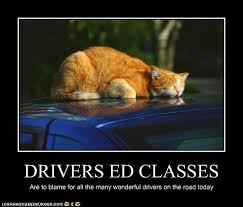 The best memes from instagram, facebook, vine, and twitter about ed meme. Funny Drivers Ed Memes Hexopict Wall Ideas