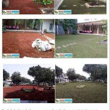 Diatas pembelian 40 meter kami antar langsung kelokasi dan kami juga menerima jasa pemasangan rumput dihalaman rumah, kantor, villa, dan tempat lainnya. Rumput Gajah Mini Jasa Pasang Rumput Pembuatan Taman Jasa Tukang Taman Shopee Indonesia
