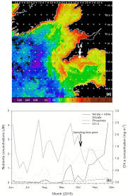 Sign in and start exploring all the free, organizational tools for your email. Bg Effects Of Elevated Co2 And Temperature On Phytoplankton Community Biomass Species Composition And Photosynthesis During An Experimentally Induced Autumn Bloom In The Western English Channel