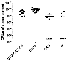 Microorganisms Free Full Text Symbioflor2 Escherichia Coli Genotypes Enhance Ileal And Colonic Gene Expression Associated With Mucosal Defense In Gnotobiotic Mice Html