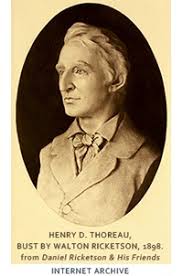 Image result for henry david thoreau