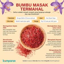 Pin Oleh Aisha Dahlan Di Tipssehat Di 2020 Kesehatan Resep Sehat Makanan