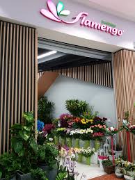 Kvetiny prague florist ★★★★★ recommended czech florist for flowers and gift delivery. Kvetiny Flamengo Sc Eden
