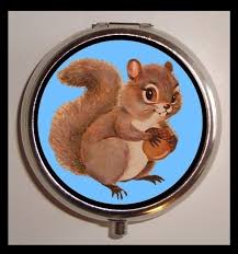 Birth Control Pill Box Meme Squirrel Kitsch Kawaii Woodland Creature Cute By Sweetheartsinner 7 50 Cute Pill Box Woodland Creatures Squirrel