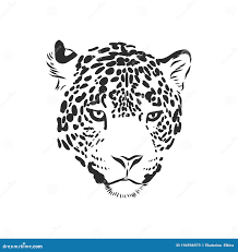 Jaguar. Ilustración De Esbozo Dibujada a Mano Aislada En Fondo Blanco.  Retrato De Una Ilustración De Un Boceto Vectorial Jaguar Stock de  ilustración - Ilustración de animal, trazado: 194596973