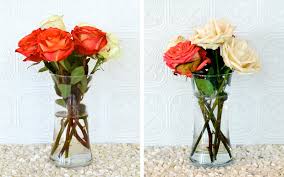 Check spelling or type a new query. How To Keep Roses Alive More