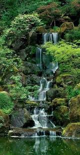 Pin On Tropical Pool Landscaping